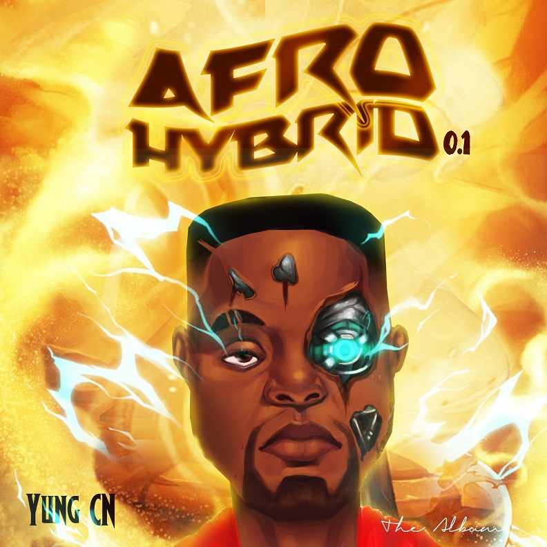 Afro Hybrid Cover1