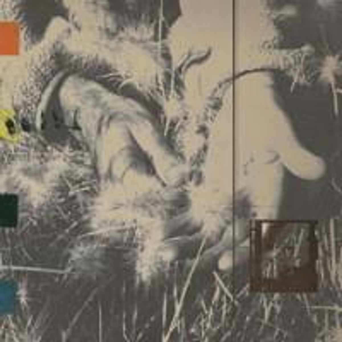 Nick Mulvey Star Nation