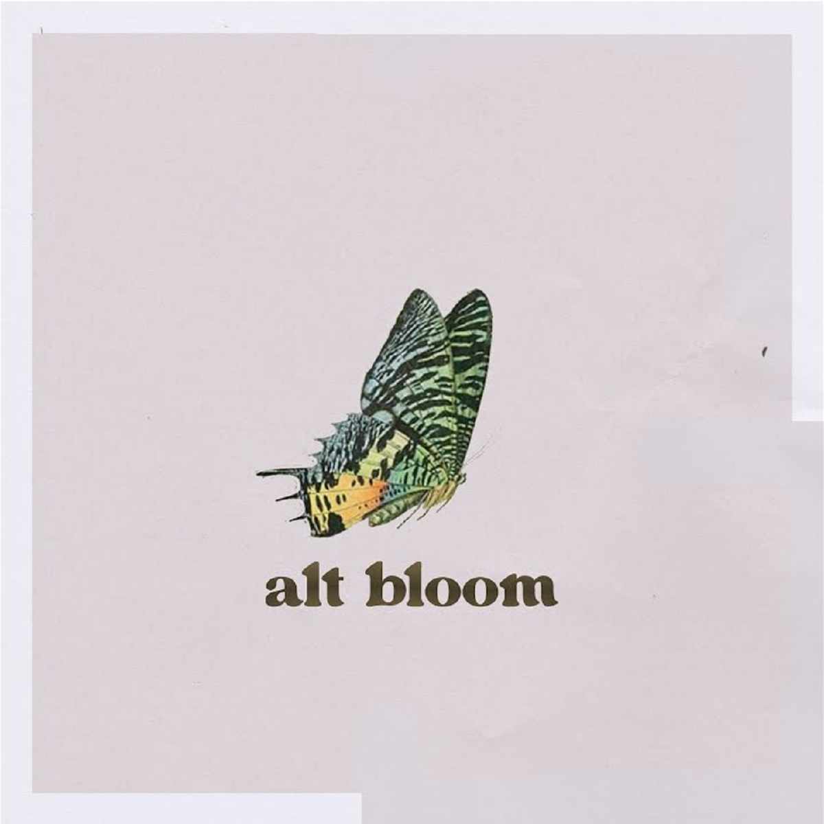 Alt Bloom Beautiful