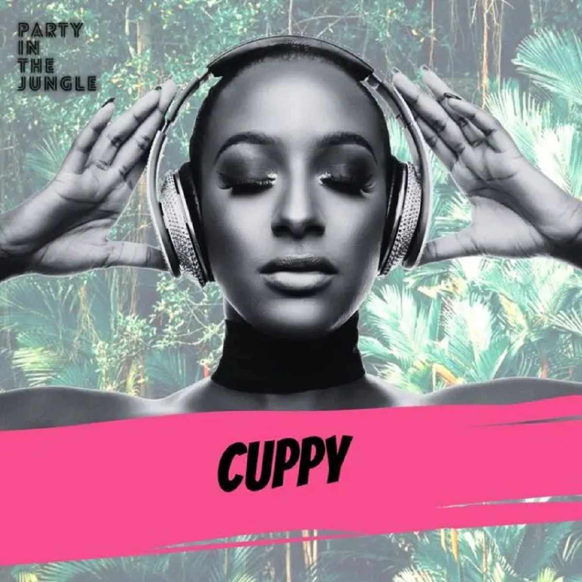 DJ Cuppy – Party In The Jungle (Audio – Mixtape)