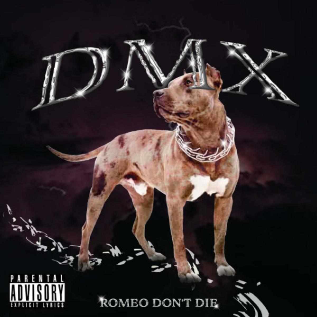 Romeo Don't Die Dmx