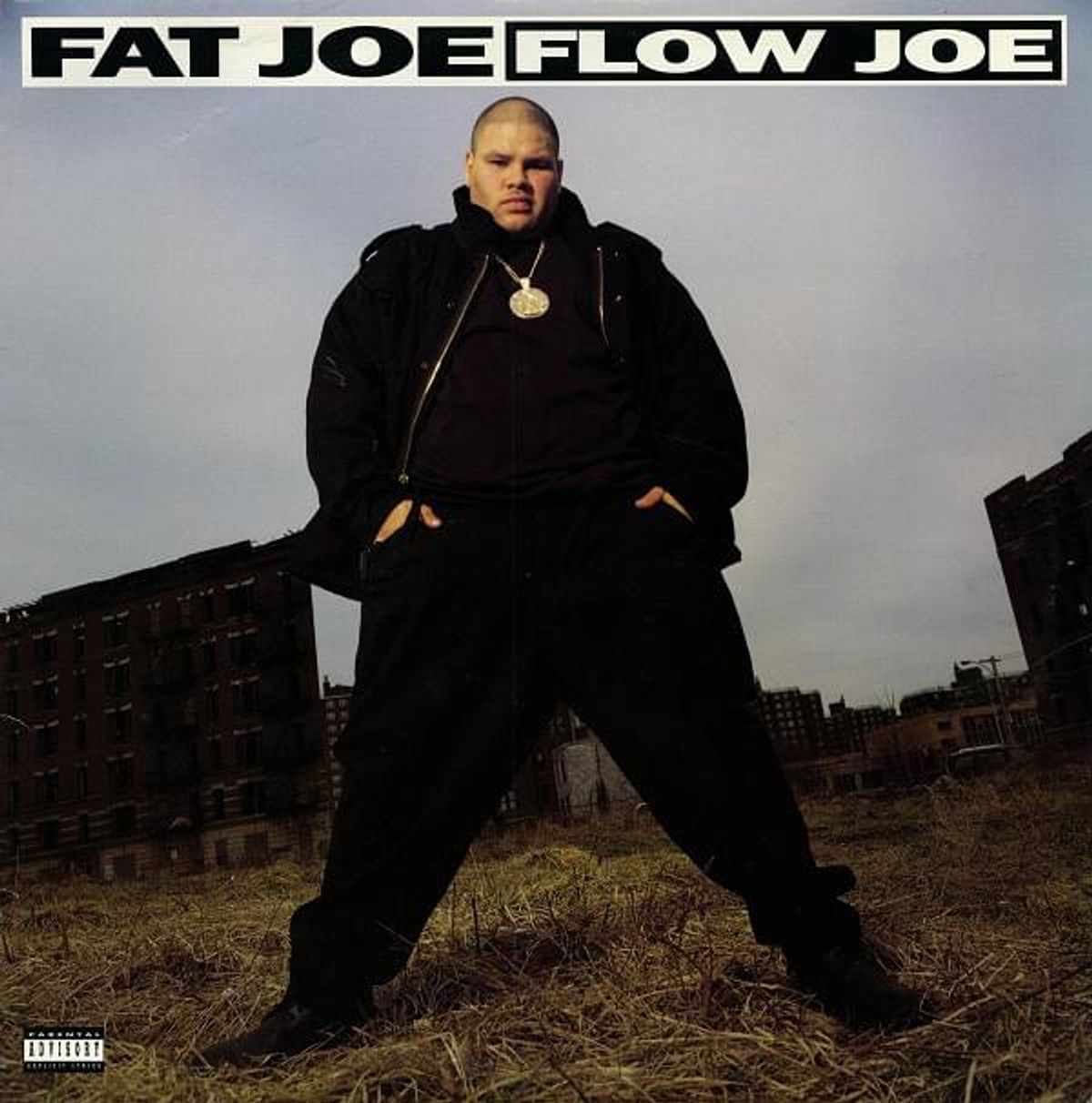 Fat Joe Flow Joe