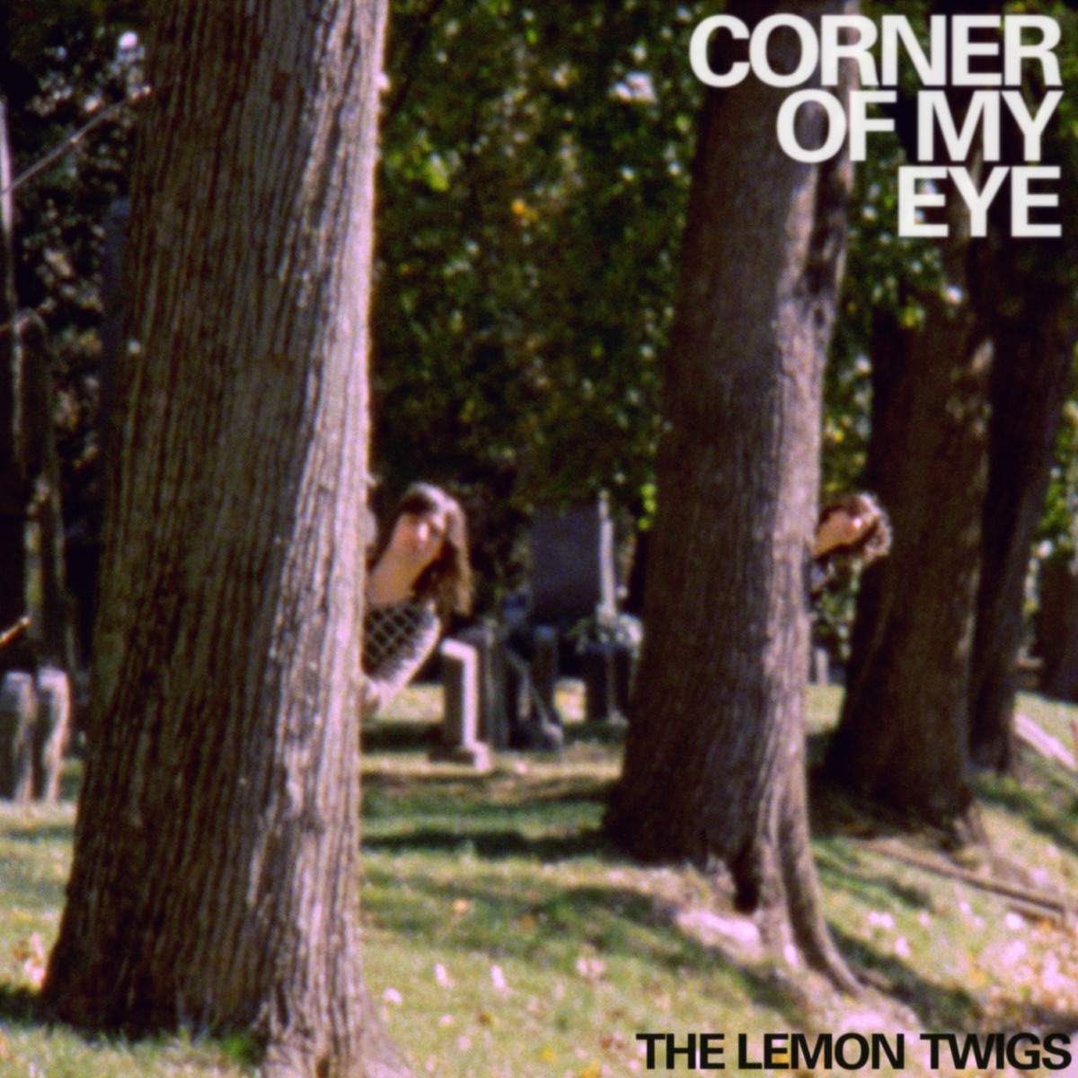 The Lemon Twigs Corner Of My Eye