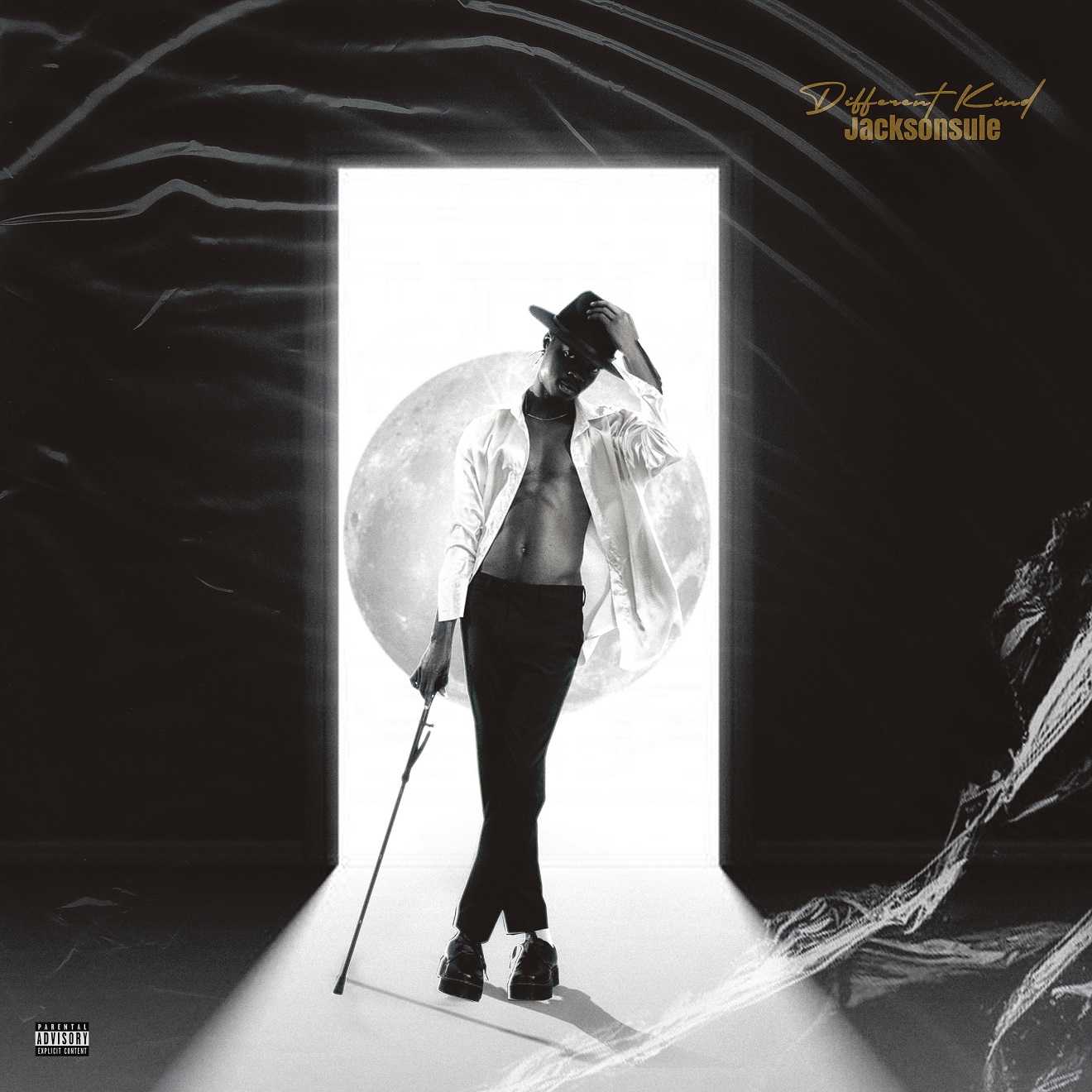 Jacksonsule Different Kind