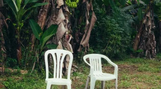 Bad Bunny “DtMF” Lyrics Capture Nostalgia and Puerto Rican Pride