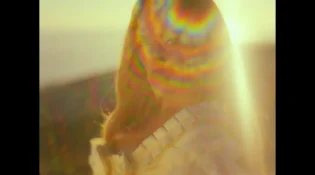 Tainy and Karol G Forge New Hit with Collaborative Single “Única”