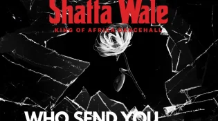 Shatta Wale – Who Send You (Song)
