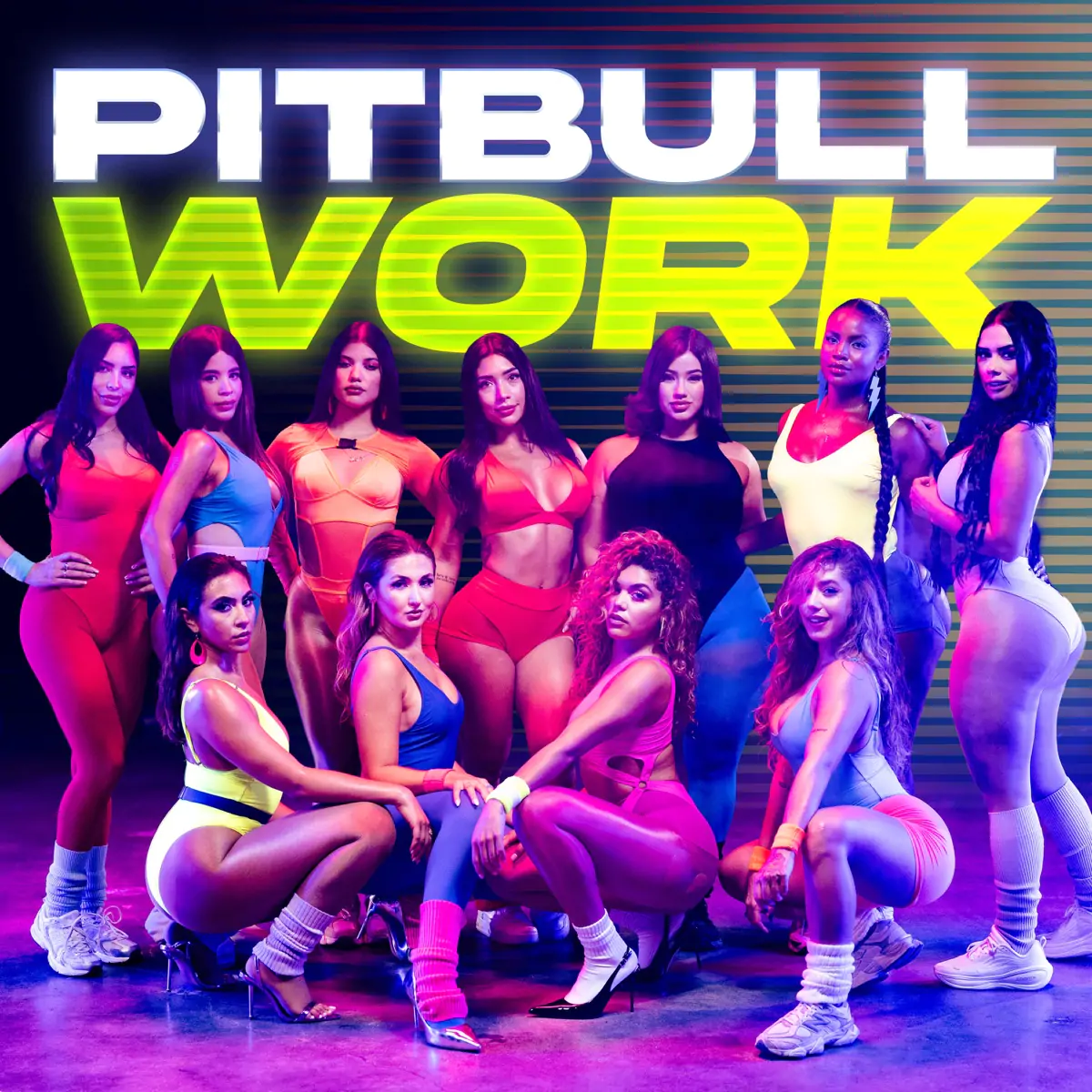 pitbull work