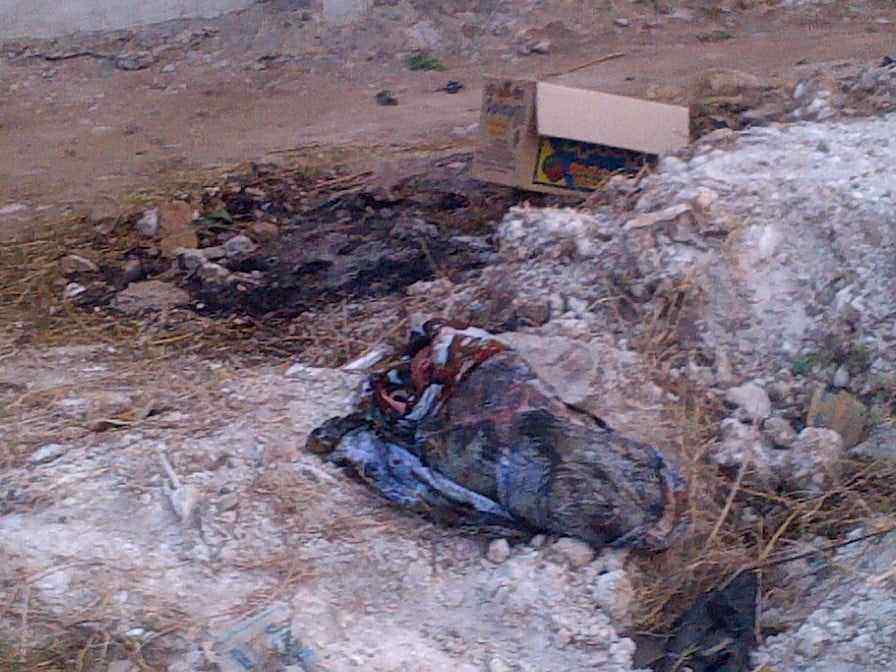 Abandoned Day Old Baby-MPmania 2