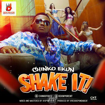 Chinko Ekun - Shake It