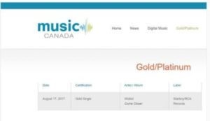 Rema Dumebi (remix) (ft. Matoma) (prod. Matoma)