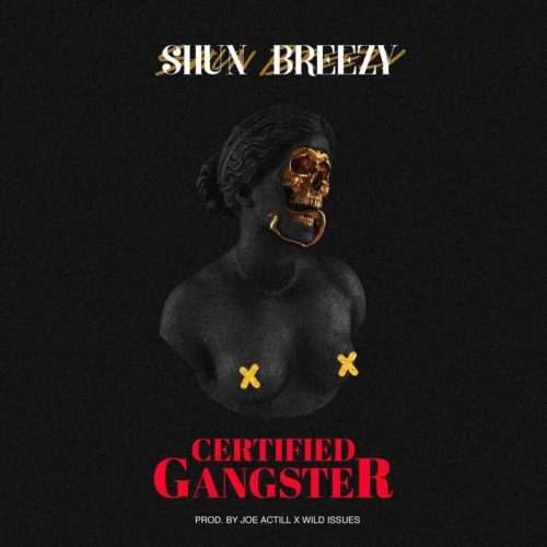 (Music) Shun Breezy - Certified Gangster (Prod by Joe Actill x Wild Issues)