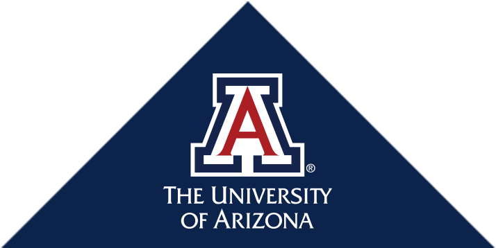 Image result for University of Arizona International Tuition Award in USA, 2019