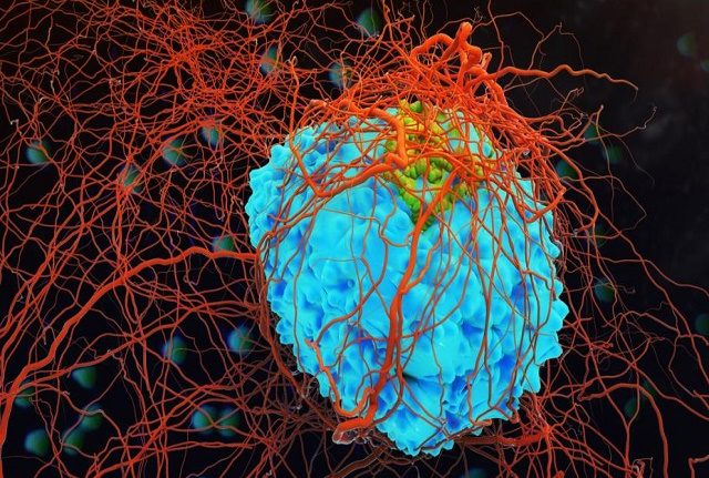 Scientists Develop New Drug With Potentials To Stop Cancer Growth