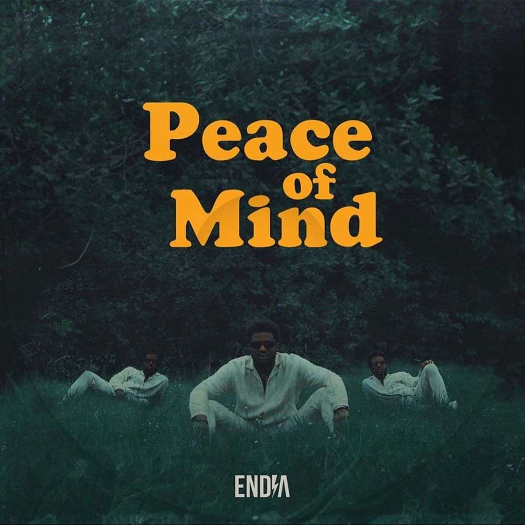 Endia Peace Of Mind Artwork