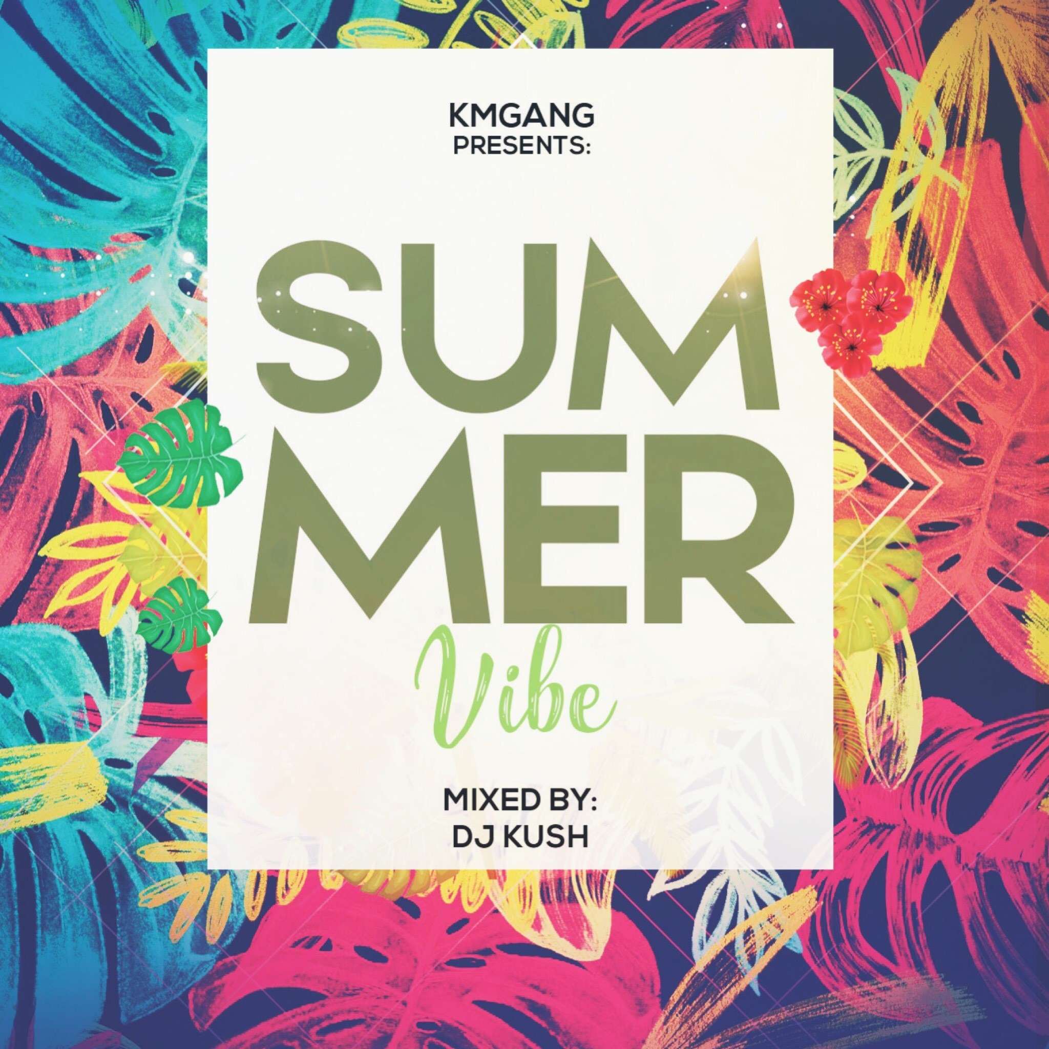 Dj Kush Summer Vibes Mix