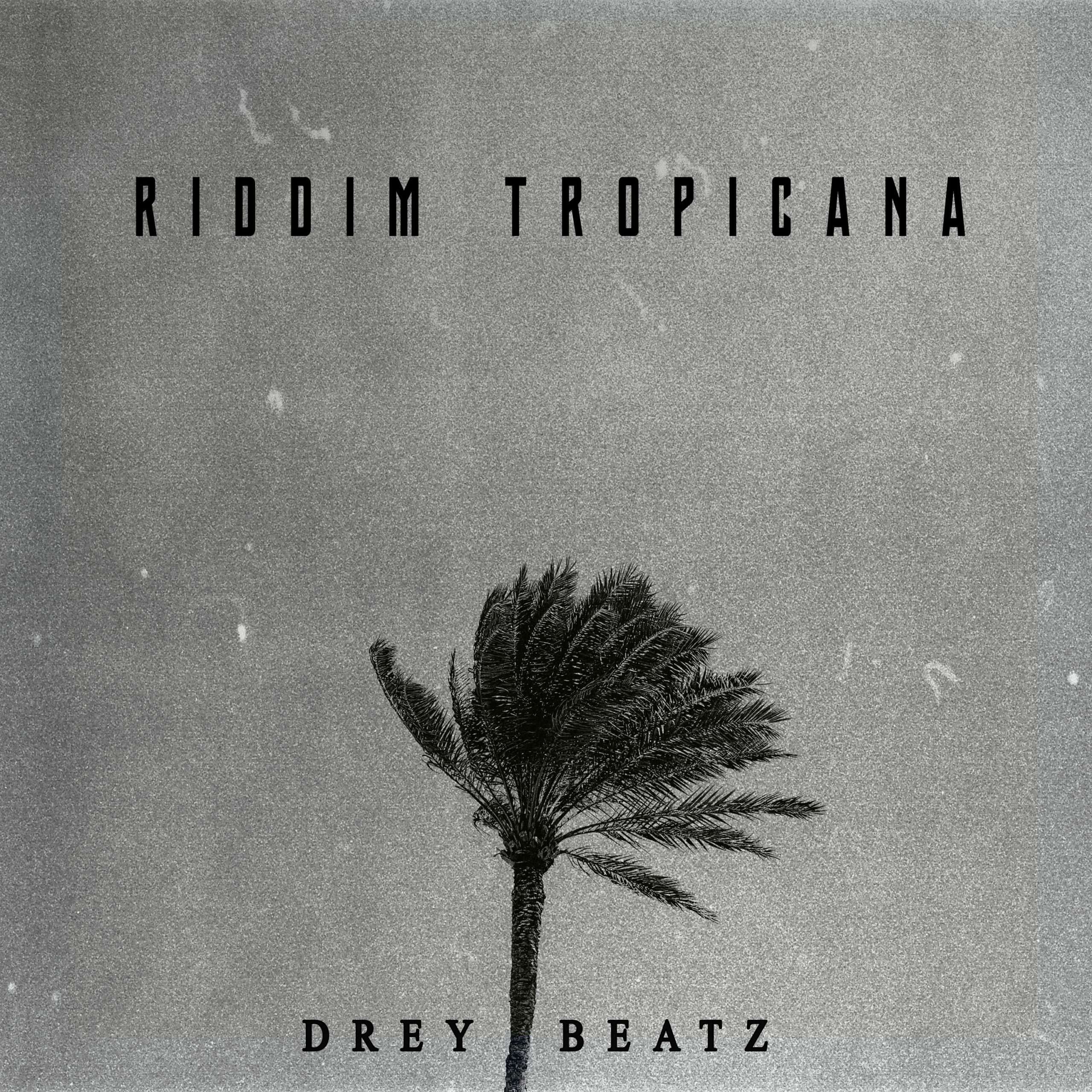 Drey Beatz Riddim Tropicana (prod. Drey Beatz)