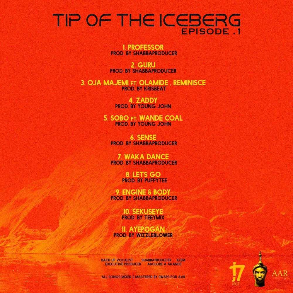 9ice Tip Of The Iceberg Back