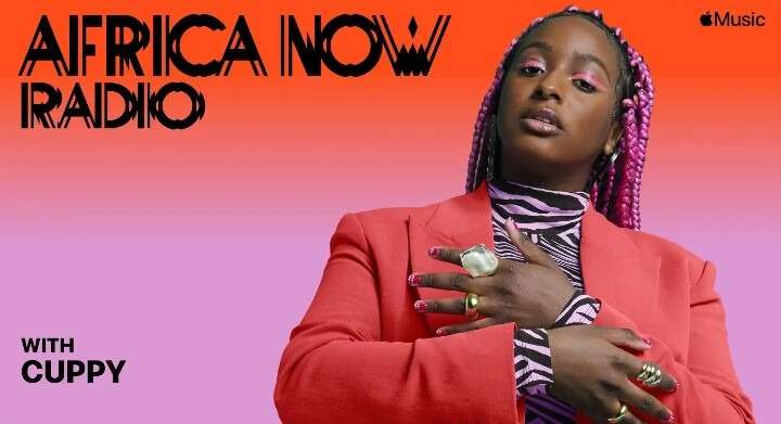 Dj Cuppy 'otedola' Apple Beats 1