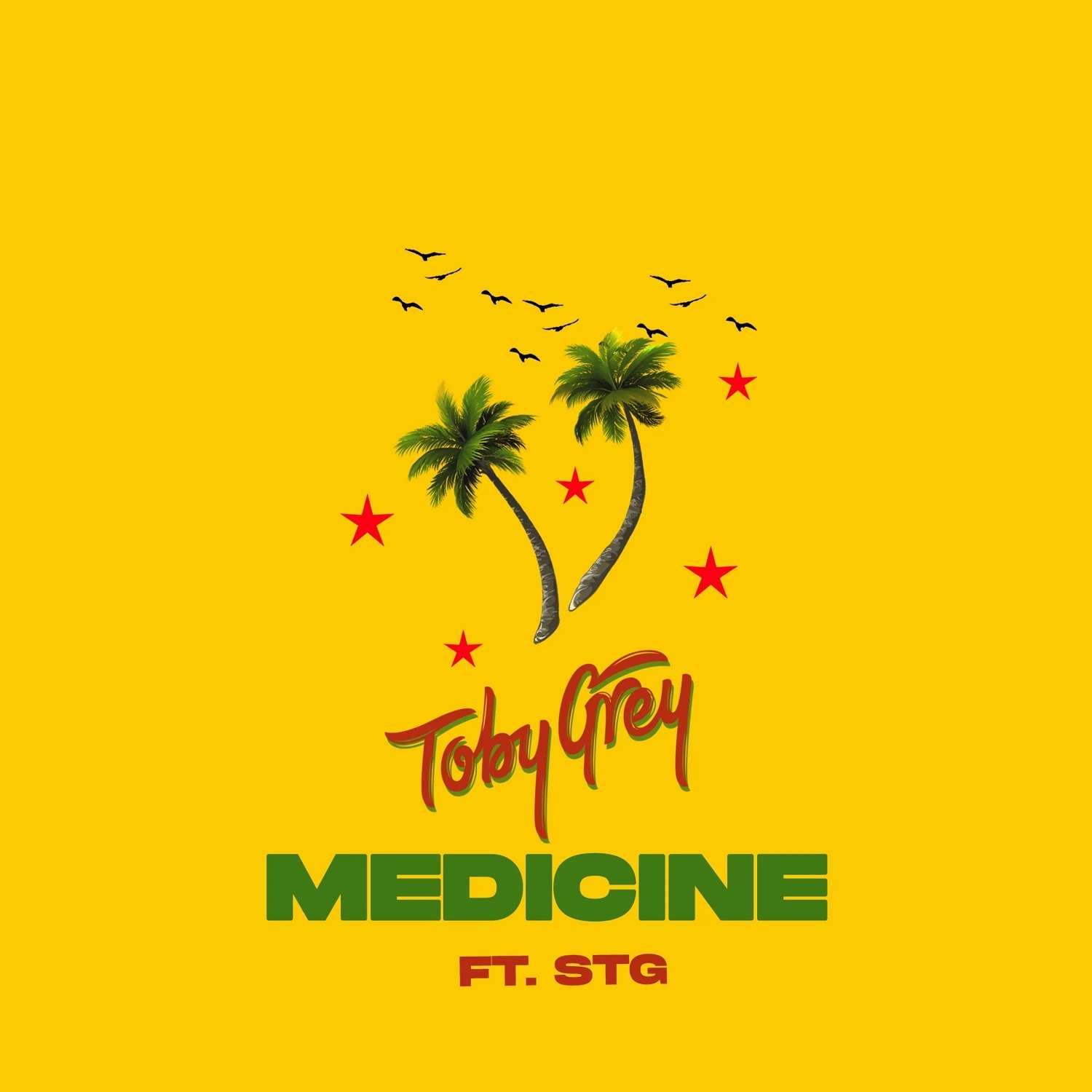 Toby Grey Medicine (ft. Stg)
