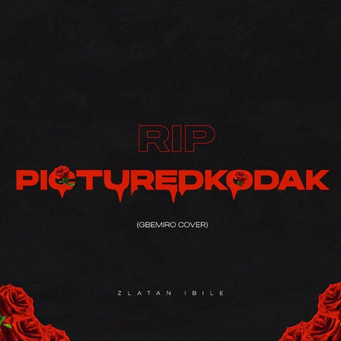 Zlatan Rip Picturekodak