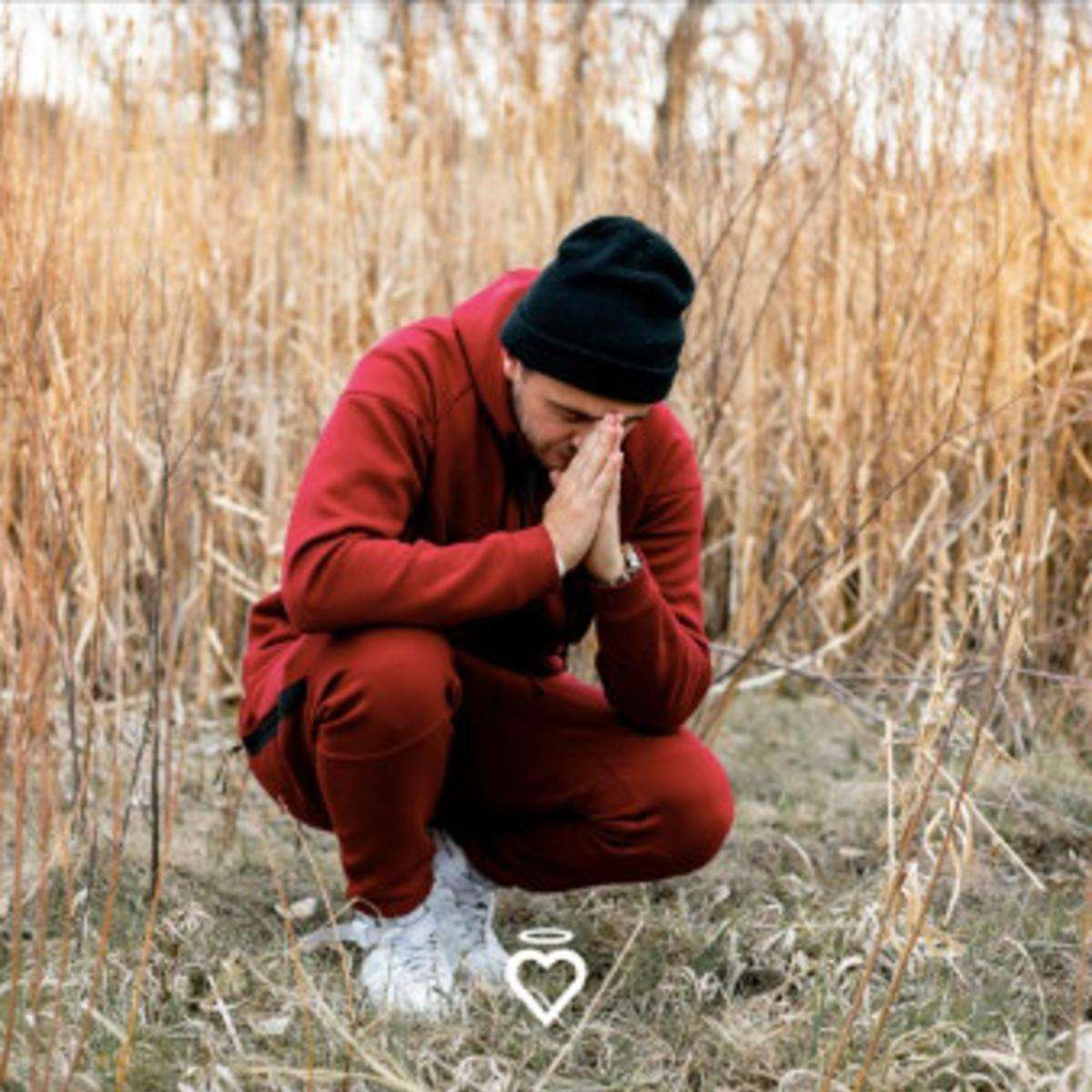 Tay White Counting Sheep