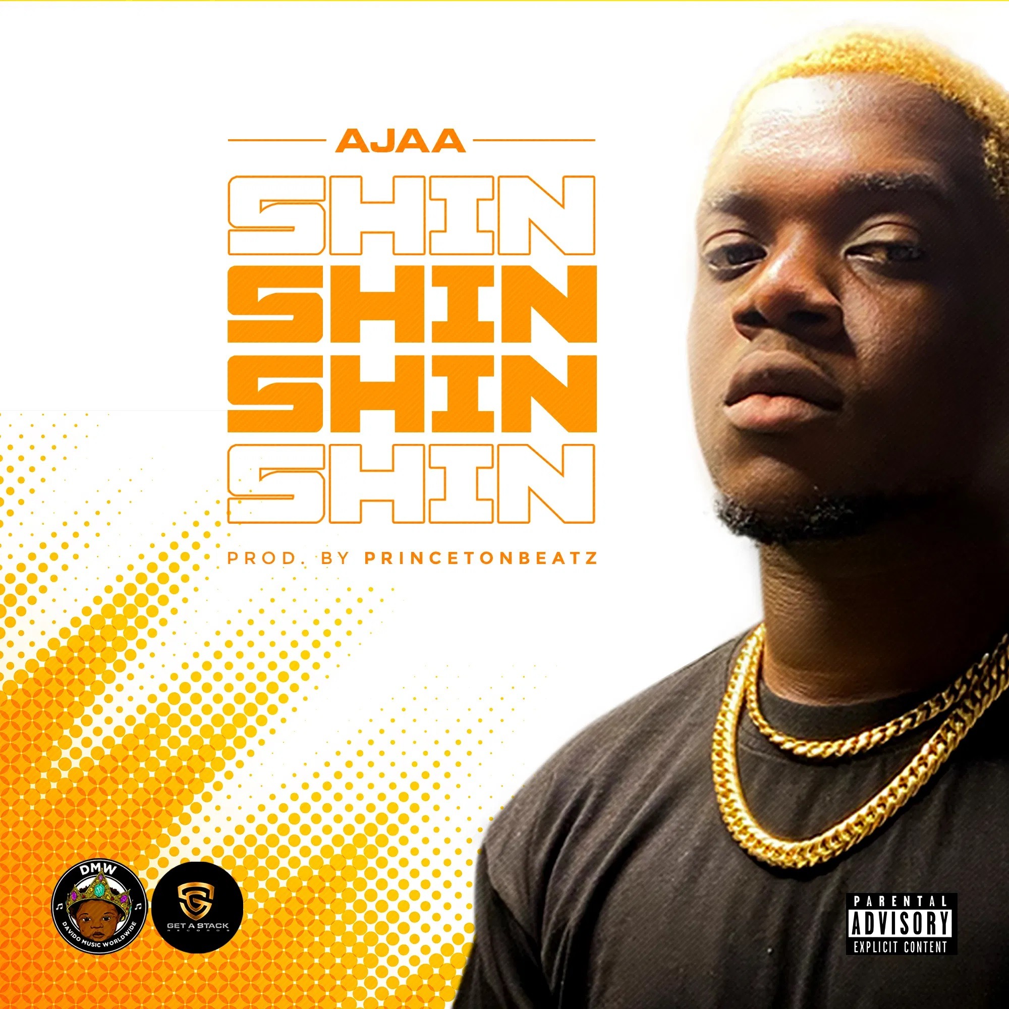 Ajaa Shin Shin