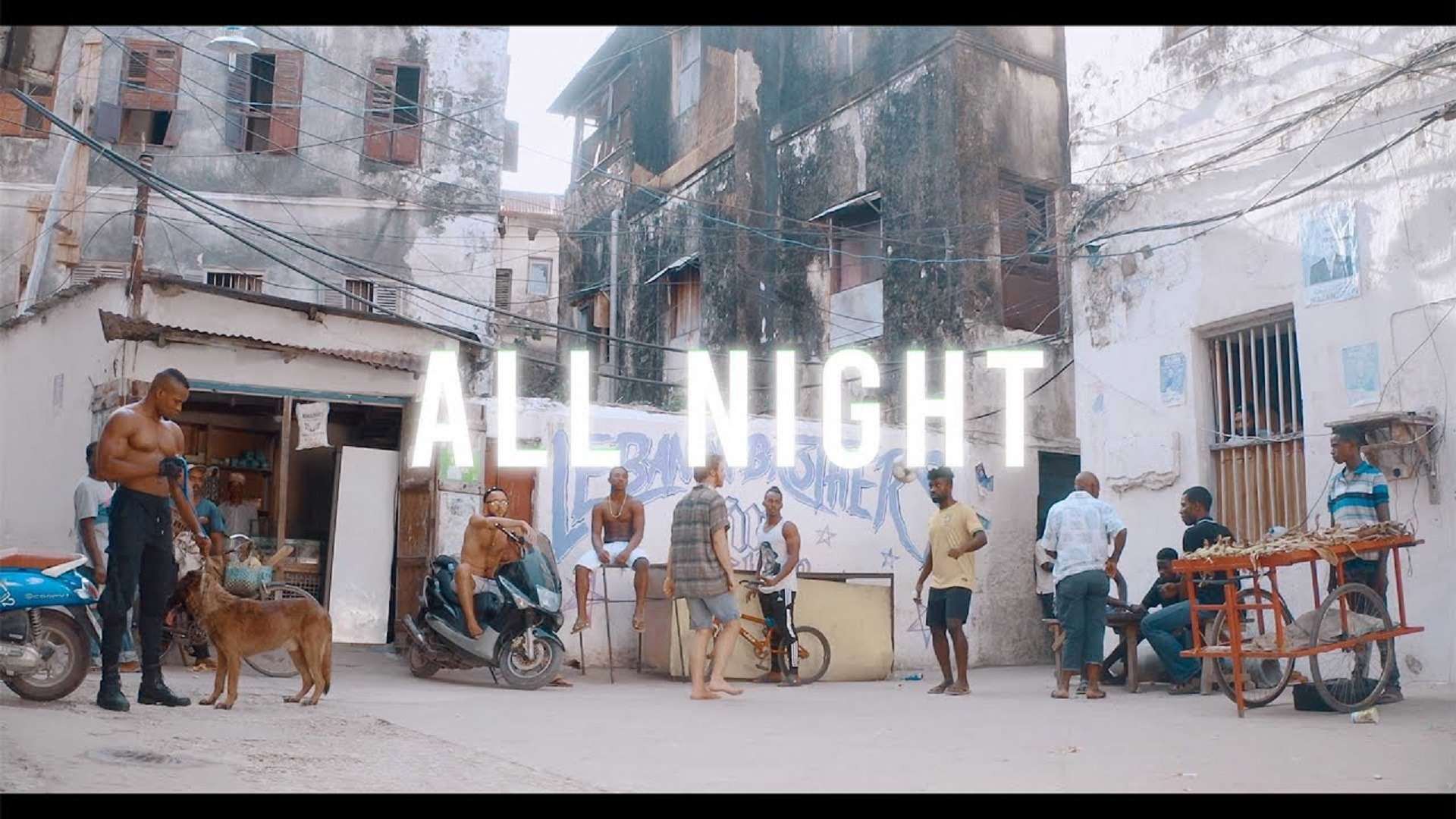 Harmonize All Night (video)