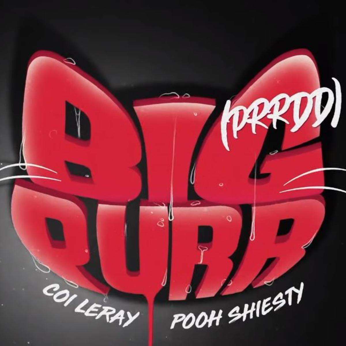 Coi Leray Big Purr