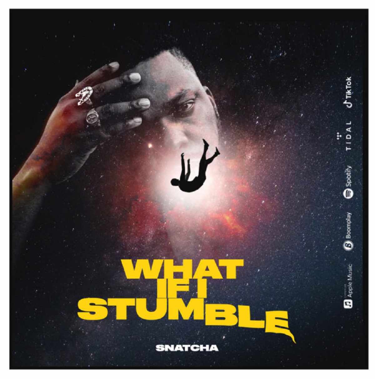 Snatcha What If I Stumble