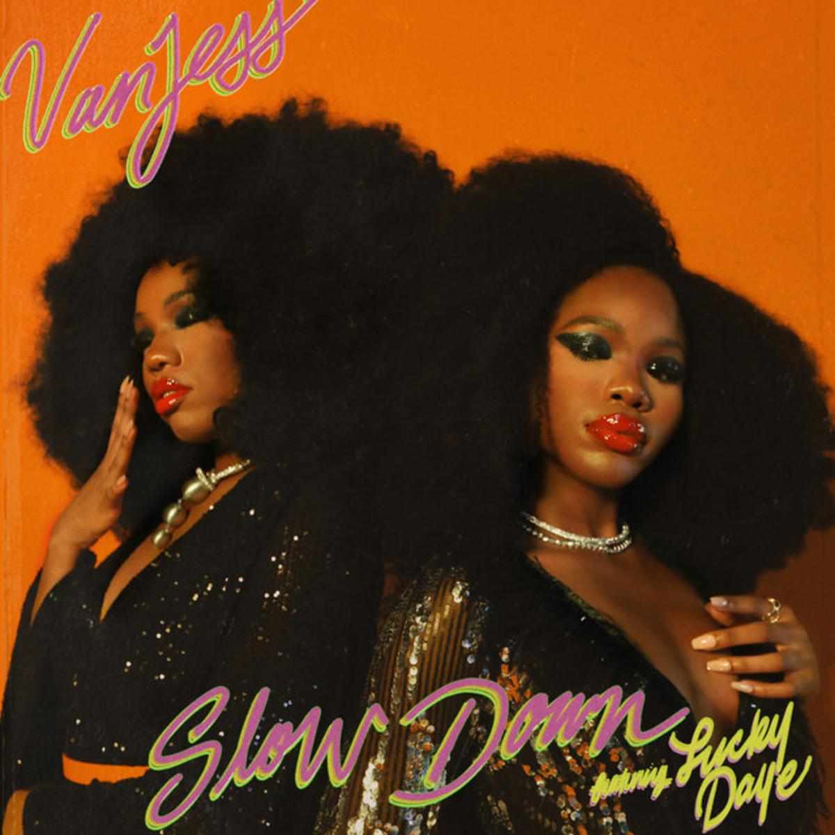 Vanjess Slow Down (remix)