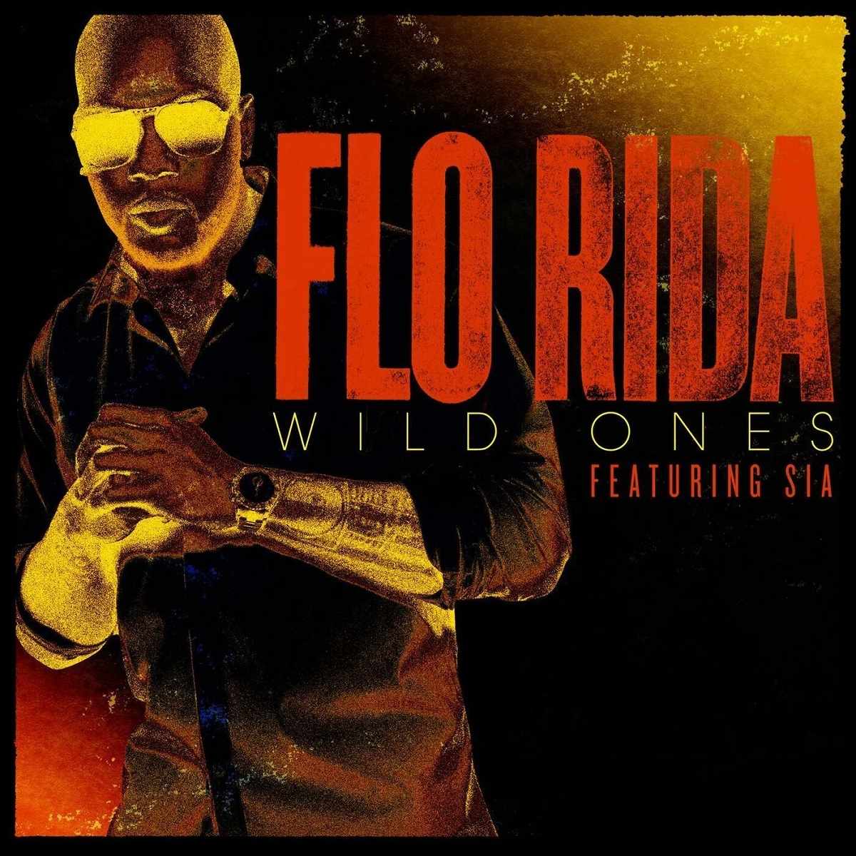 Flo Rida Wild Ones