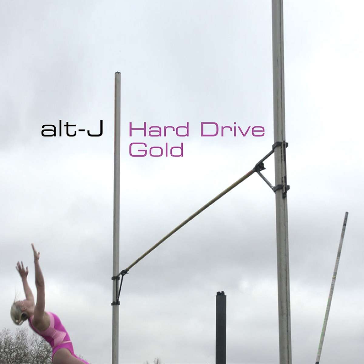 ​​alt J Hard Drive Gold