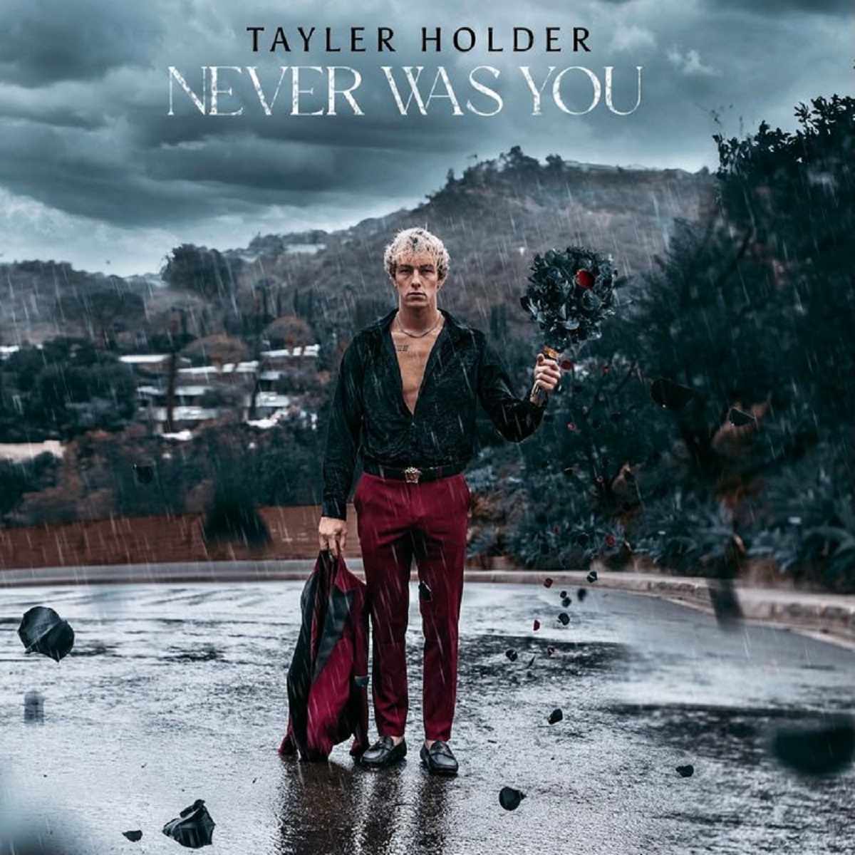 Tayler Holder Never Was You