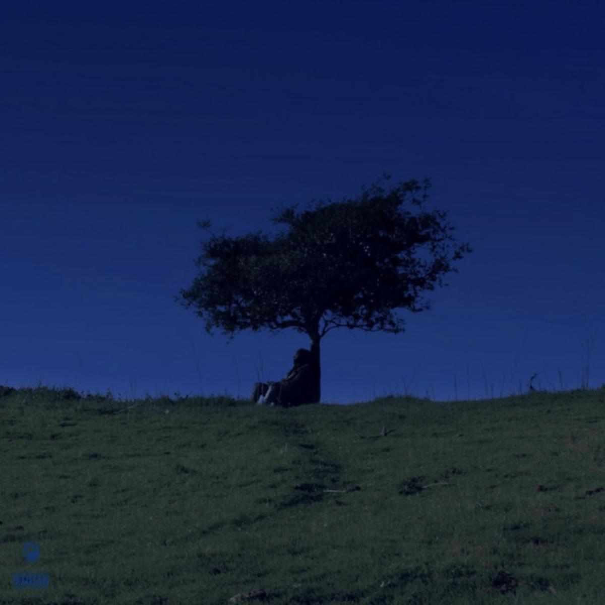 Rexx Life Raj Balance