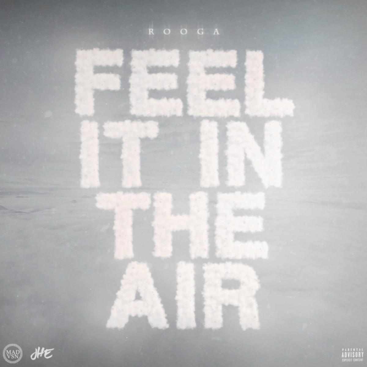 Rooga Feel It In The Air