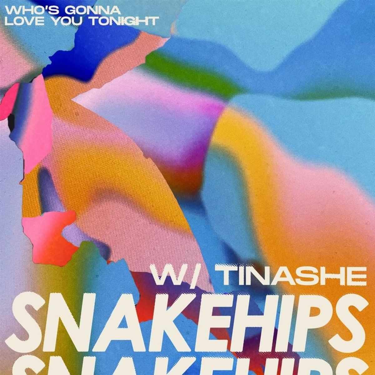 Snakehips Who's Gonna Love You Tonight