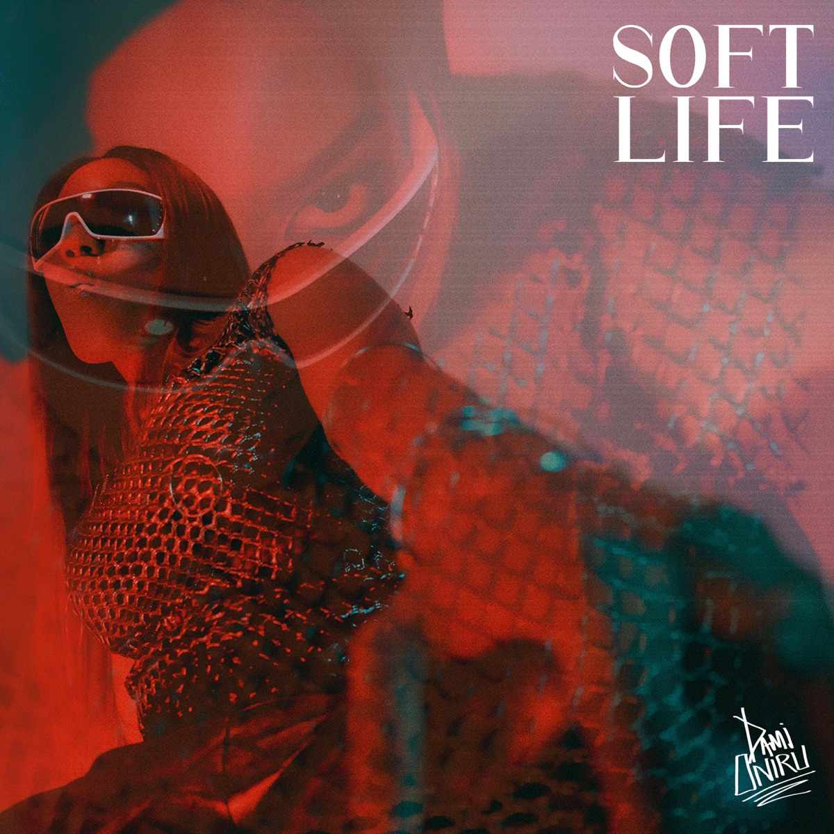 Dami Oniru Soft Life