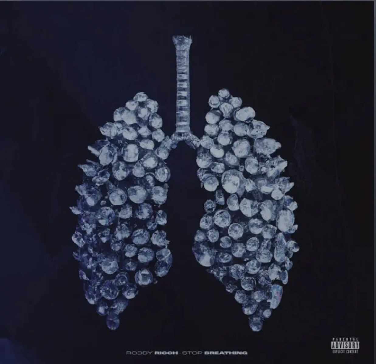 Roddy Ricch Stop Breathing