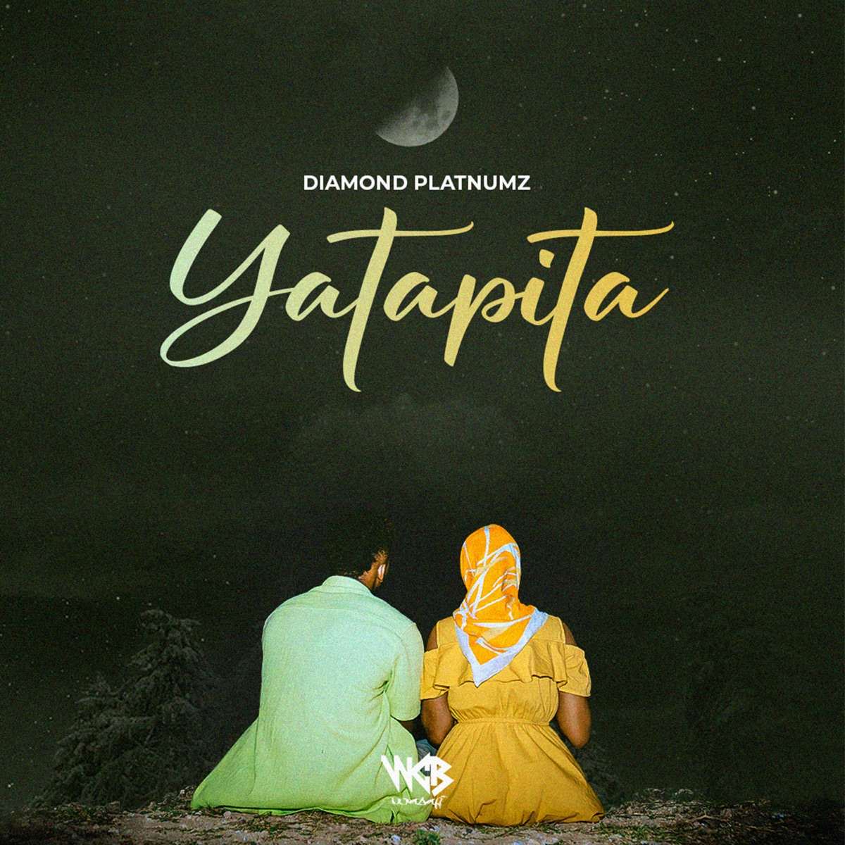 Diamond Platnumz Yatapita