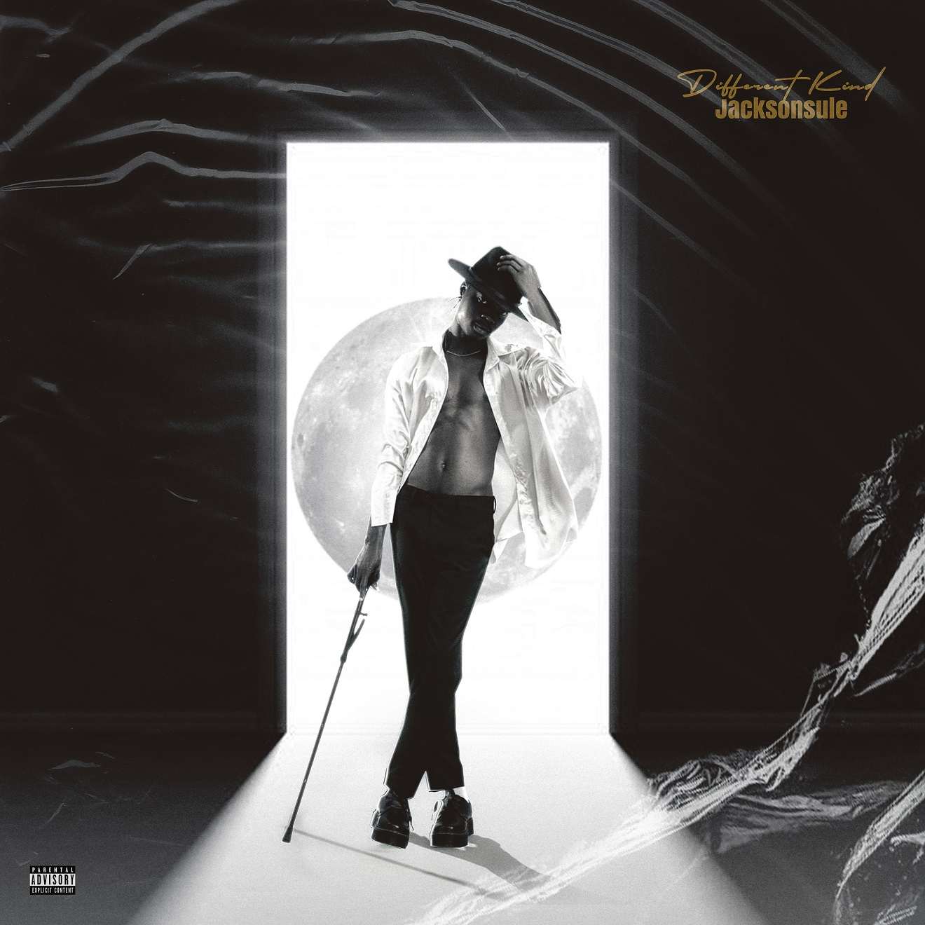 Jacksonsule Different Kind