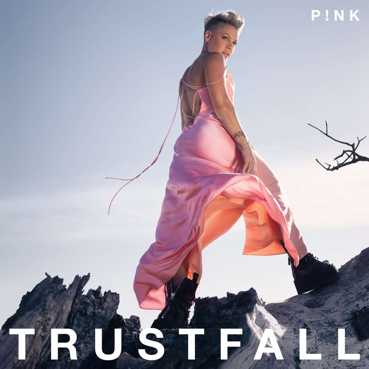 P!nk Trustfall