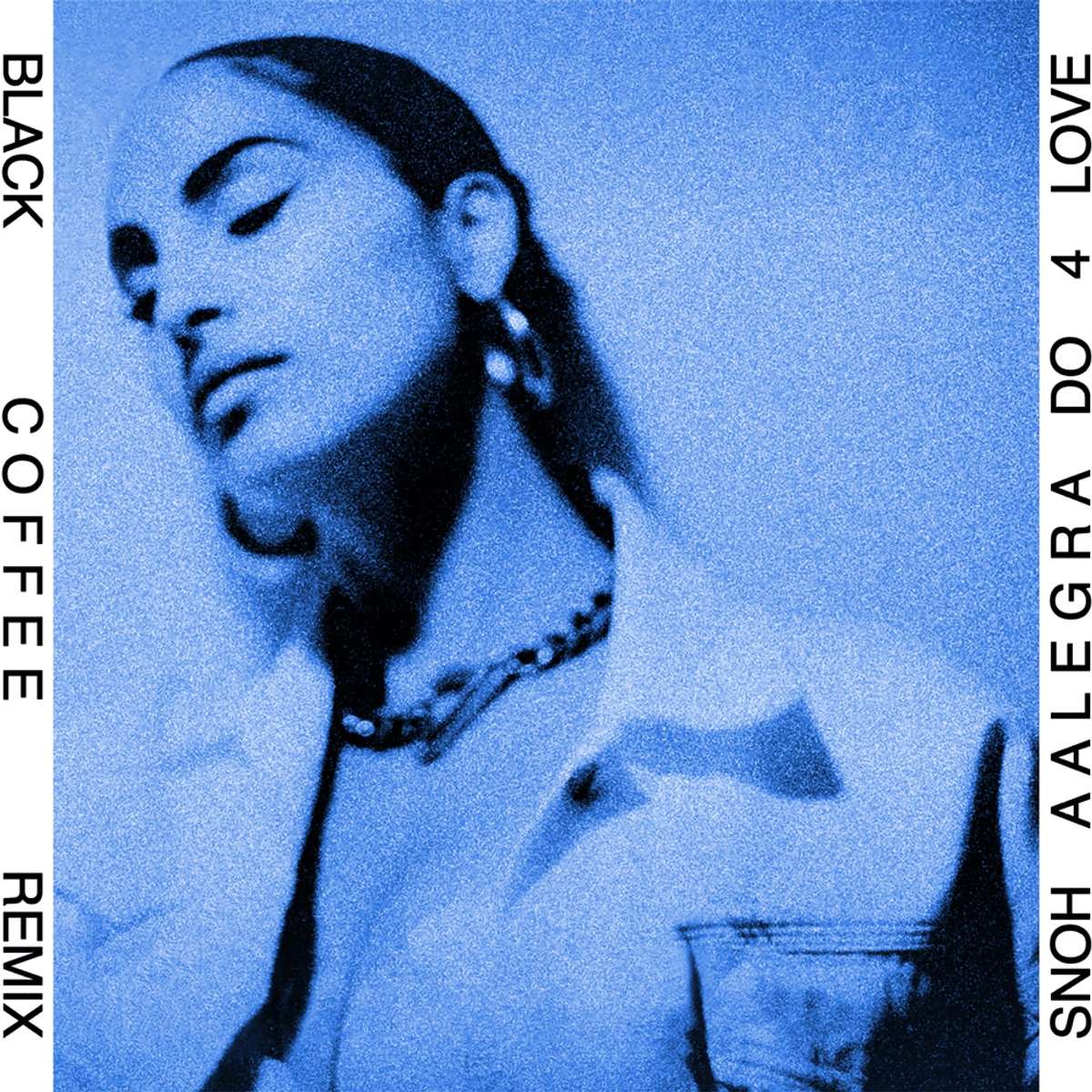 Snoh Aalegra Do 4 Love (black Coffee Remix)