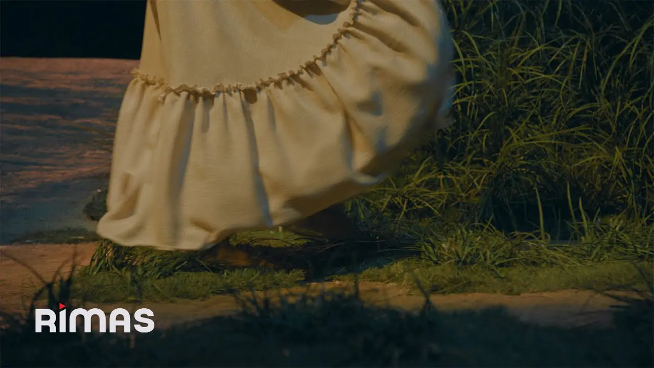 bad bunny alambre púa (visualizer)