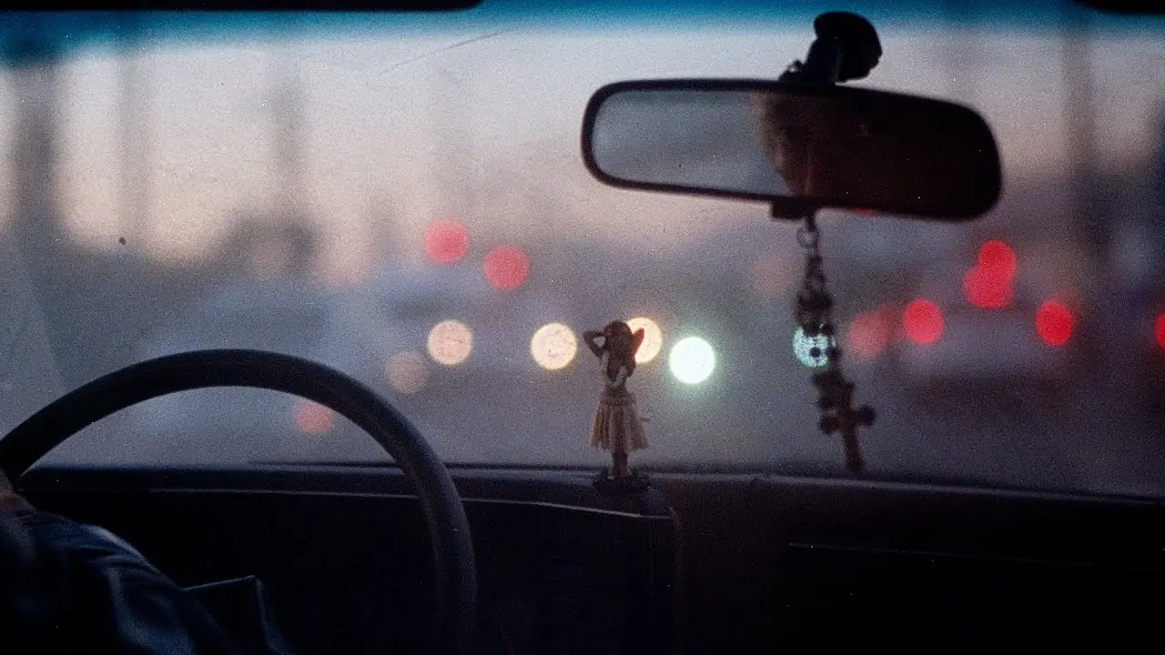 the neighbourhood hula girl (video)