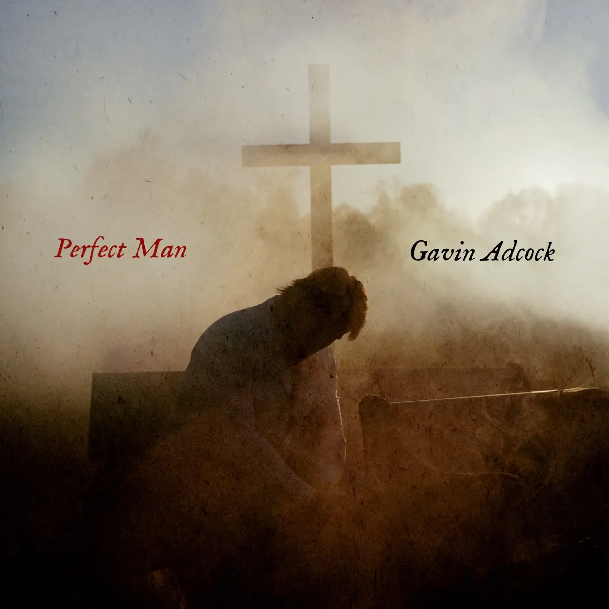 gavin adcock perfect man