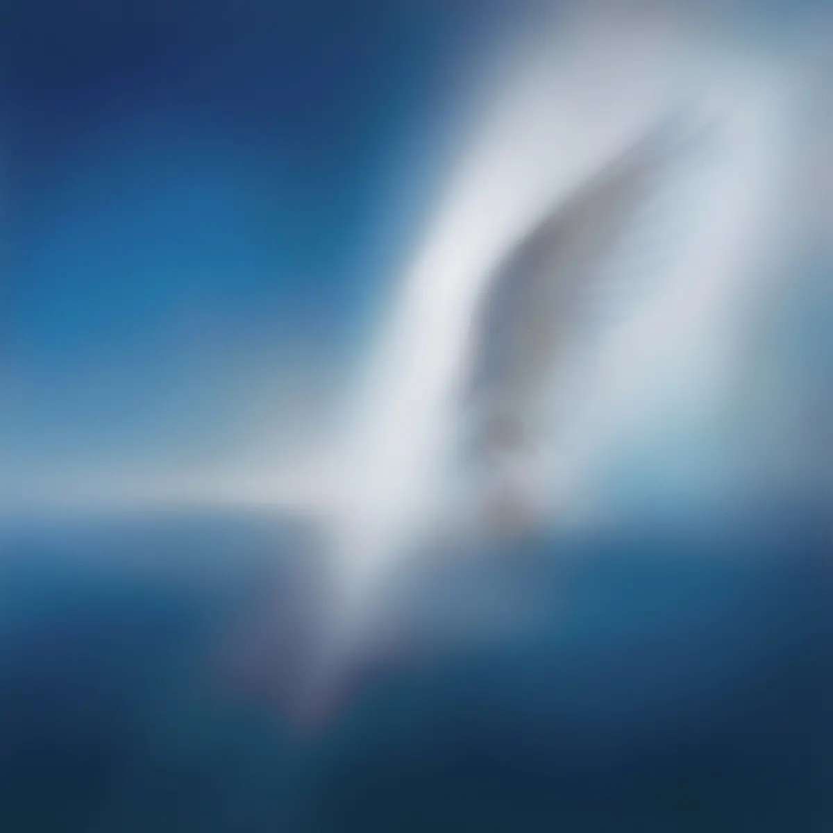 car, the garden blue heart ep