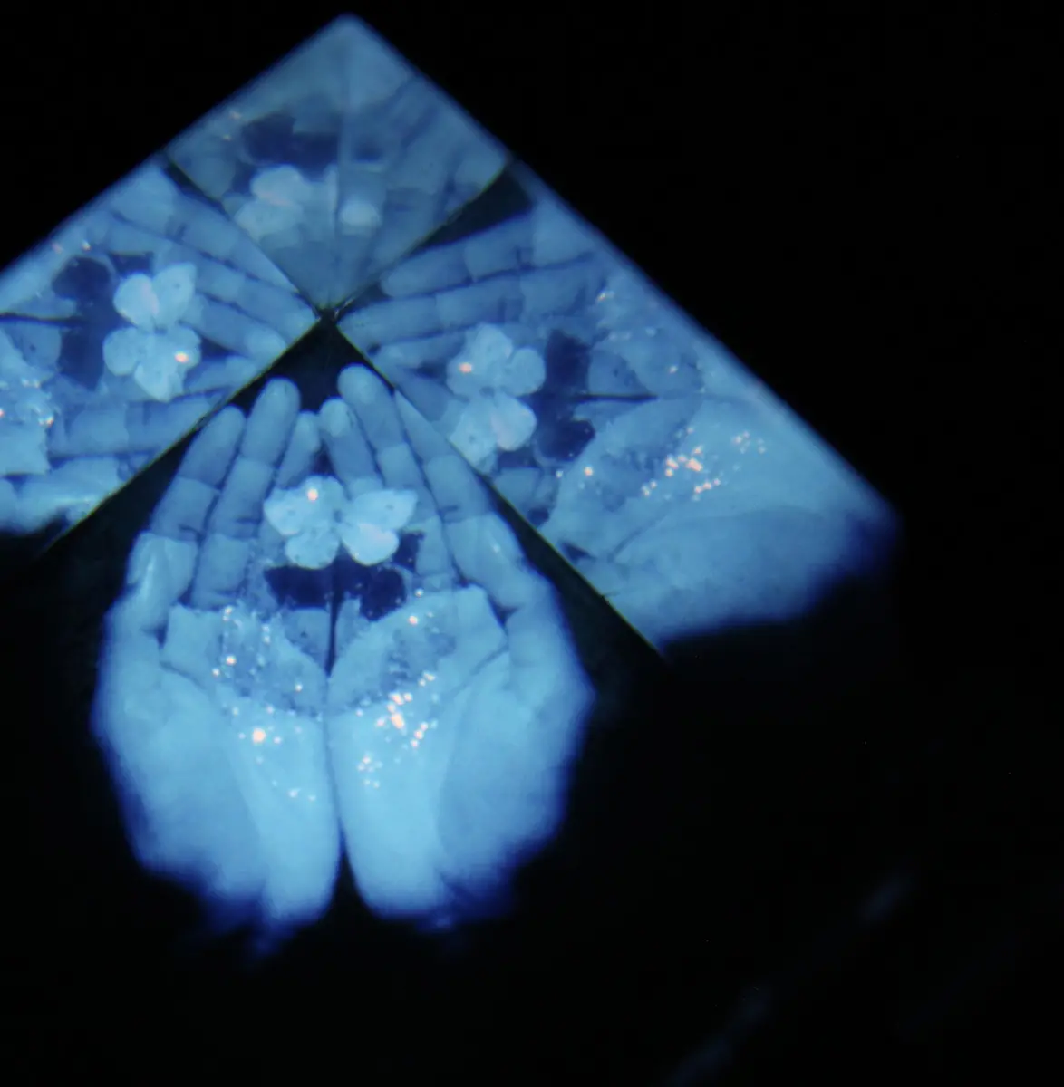 spellling portrait of my heart